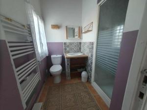 a bathroom with a toilet and a sink and a shower at La Tulipe Périgourdine in Le Buisson de Cadouin +14 photos