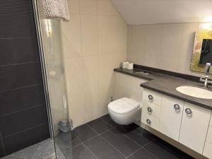 a bathroom with a toilet and a sink and a shower at Birchall Lodge in Galway