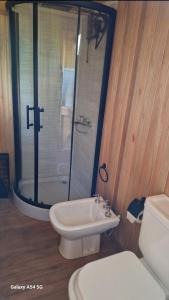 a bathroom with a shower and a toilet and a sink at Cabaña Tu Refugio in Paraná