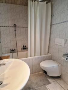 a bathroom with a toilet and a sink and a shower at Casa Carmela in Solothurn +17 photos