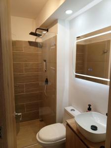 a bathroom with a toilet and a sink and a shower at Posada del Quindío 0812 in Armenia