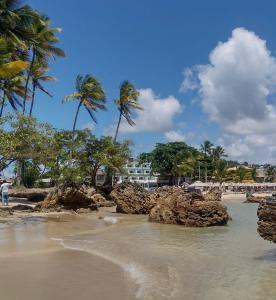 a beach with palm trees and a building in the background at Edifício AES Brasil in Cairu
