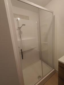 a shower with a glass door in a bathroom at La Clé des Vignes 1 in Roye