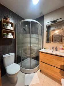 a bathroom with a shower and a toilet and a sink at San Agustin Centro in Logroño +23 photos