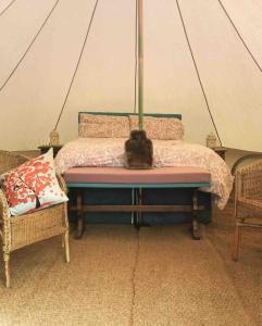 a bed with a cat sitting on top of it at Deer Barn Retreats in Hockworthy