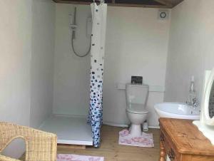 a bathroom with a shower with a toilet and a sink at Deer Barn Retreats in Hockworthy +43 photos