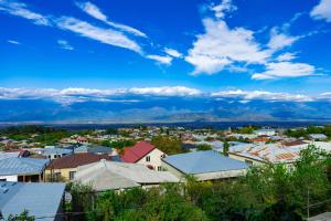 a view of a town with mountains in the background at Hotel Horizont Telavi in Telavi