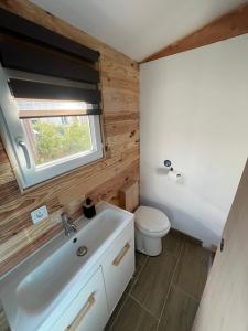a bathroom with a white sink and a toilet at La Roulotte des Gaillots in Moiremont