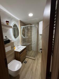 a small bathroom with a toilet and a shower at PRESTIGE studio Krusevac in Kruševac +55 photos