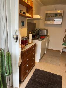 a small kitchen with a stove and a sink at Ferienwohnung am Weinberg in Flonheim