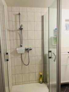 a shower with a glass door in a bathroom at Ferienwohnung am Weinberg in Flonheim