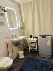 a bathroom with a sink and a toilet and a mirror at Ferienwohnung am Weinberg in Flonheim +8 photos