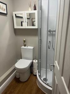 a bathroom with a toilet and a glass shower at Pilgrims Retreat in Kent