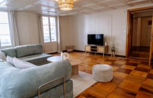 a living room with a couch and a tv at Cara Nima Schwyz in Schwyz