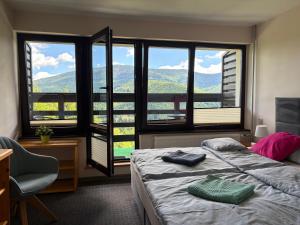 a bedroom with a bed with a view of a mountain at Romanka in Żabnica