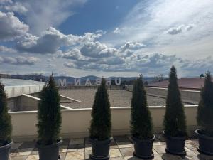 a row of trees in pots on a balcony at Sonny Penthouse 2 in Gnjilane +3 photos