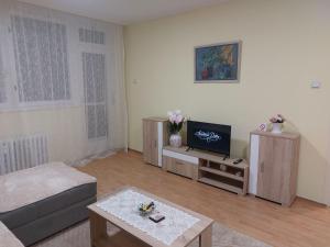 a living room with a couch and a tv at Apartman Ditta in Subotica