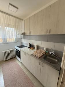 a kitchen with a sink and a counter top at Apartman Ditta in Subotica