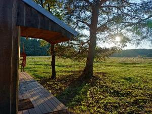 a house with a tree and a bench in a field at ZegZug apartman in Pankasz