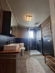 a bathroom with a shower and a sink and a toilet at Ferienwohung Else Sankt Wendel in Sankt Wendel
