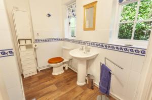 a bathroom with a toilet and a sink at Jacobs Pond Monksilver in Stogumber +20 photos