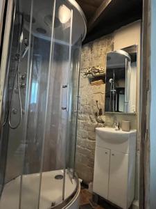 a bathroom with a shower and a sink at Het Kathedraalhuis Goudblomme in Antwerp