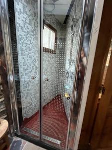a shower with a glass door with a woman in it at Het Kathedraalhuis Goudblomme in Antwerp
