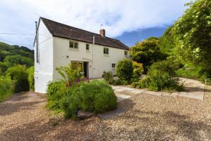 a white house with a garden in front of it at Trinity Cottage Roadwater in Nettlecombe