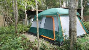 a green and white tent in the woods at Bacalar Inn Hotel & Glamping Bacalar in Bacalar