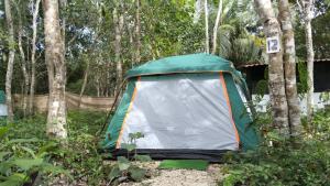 a tent in the middle of a forest at Bacalar Inn Hotel & Glamping Bacalar in Bacalar