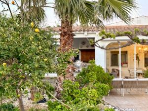 a house with a palm tree in the yard at Chalet Eucaliptus in Alcossebre