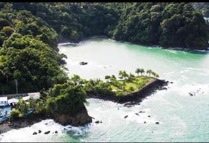 an island in the ocean with palm trees on it at Quepos Prime in Quepos