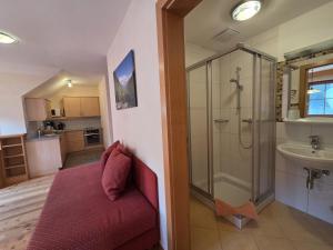 a bathroom with a shower and a toilet and a sink at Dirtlergut in Haus im Ennstal +54 photos