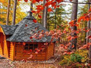 a small log cabin with a roof in the woods at La Roche aux Fées in Lapte
