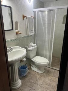 a bathroom with a toilet and a sink and a shower at Casa Brusodia in Guadalajara