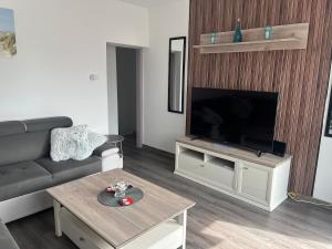 a living room with a couch and a flat screen tv at Apartment Boro in Selce