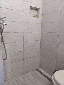 a bathroom with a shower with a toilet at VILLA ROSSA in Mesimvría +40 photos