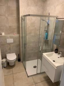 a bathroom with a shower and a toilet and a sink at Chambre Lux in Luxembourg