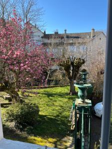 a garden with a green lamp in the grass at Le Rive & Chêne Apartment in Aurillac