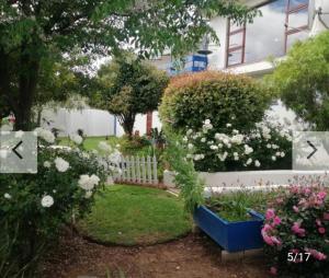 a garden with white flowers and a white fence at Hollywood Heights Accommodation in Barrydale