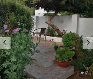 a garden with a chair and some plants at Hollywood Heights Accommodation in Barrydale