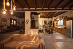 a kitchen and a living room with a bed in a room at Estate Tsiati in Piryiótika