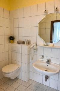 a bathroom with a toilet and a sink and a mirror at Gästehaus Bock in Lahnstein