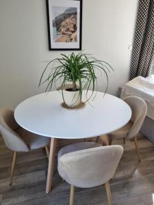 a white table with chairs and a plant on it at La Maison des Muses in Arles