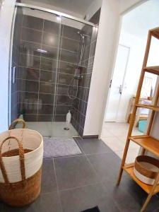 a bathroom with a shower with a tub and a basket at Cozy Home in Roussillon en Isere