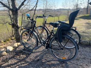two bikes parked next to each other next to a tree at The Fäxaåsen cabin in Varberg