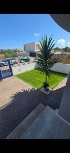a palm tree in the middle of a courtyard at Mediterraneo in Peniscola