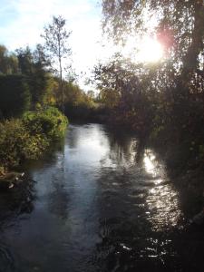a river with the sun reflecting on the water at Le Moulin d'Oscar & Spa - Mulhouse Nord in Baldersheim