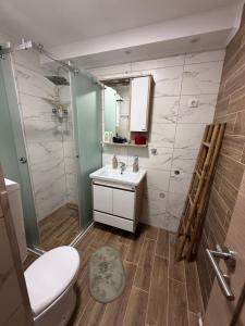a bathroom with a toilet and a sink and a shower at Ljiljana in Vršac +11 photos