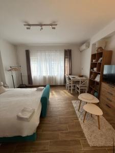 a bedroom with a bed and a table and a kitchen at Ljiljana in Vršac